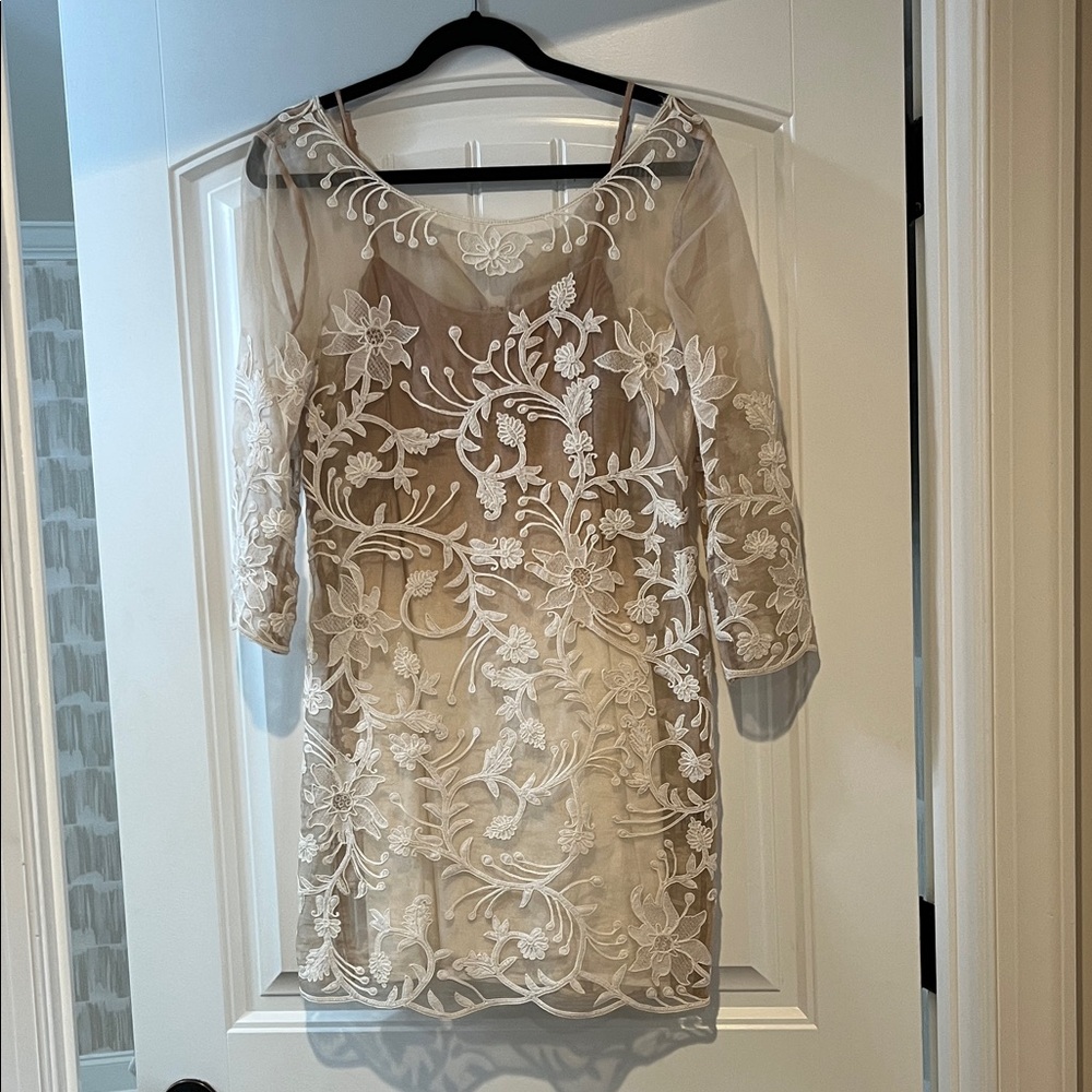 Elegant Floral Embroidered Dress